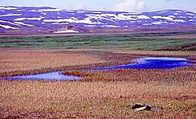Hardangervidda