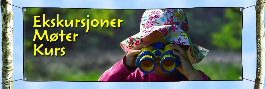 Ekskursjoner og mter